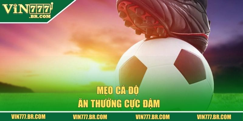 Mẹo cá độ ăn thưởng cực đậm